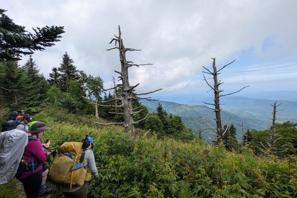 Custom Appalachian Trail Routes